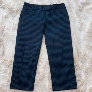 The Limited navy pinstriped capri pants